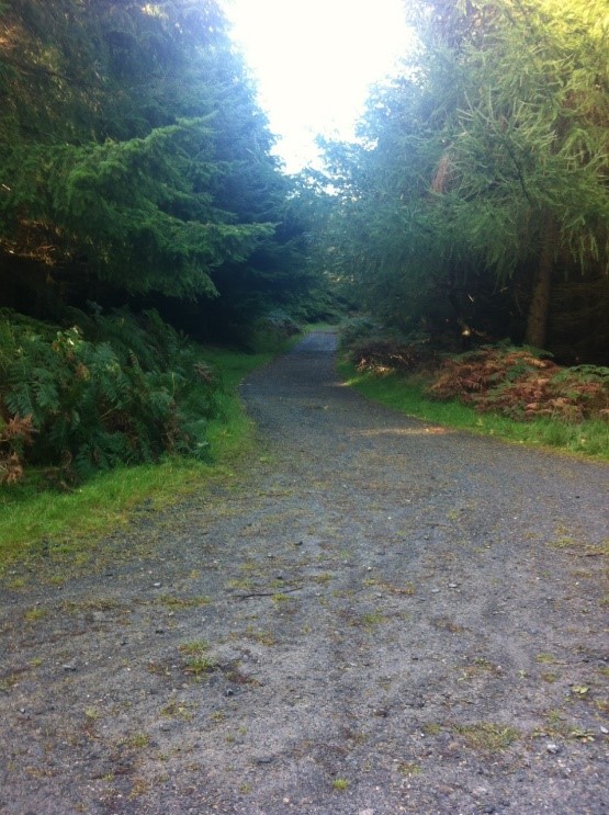 Trails at Tollymore